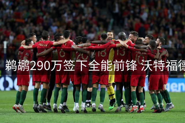 鹈鹕290万签下全能前锋 沃特福德将搭档锡安